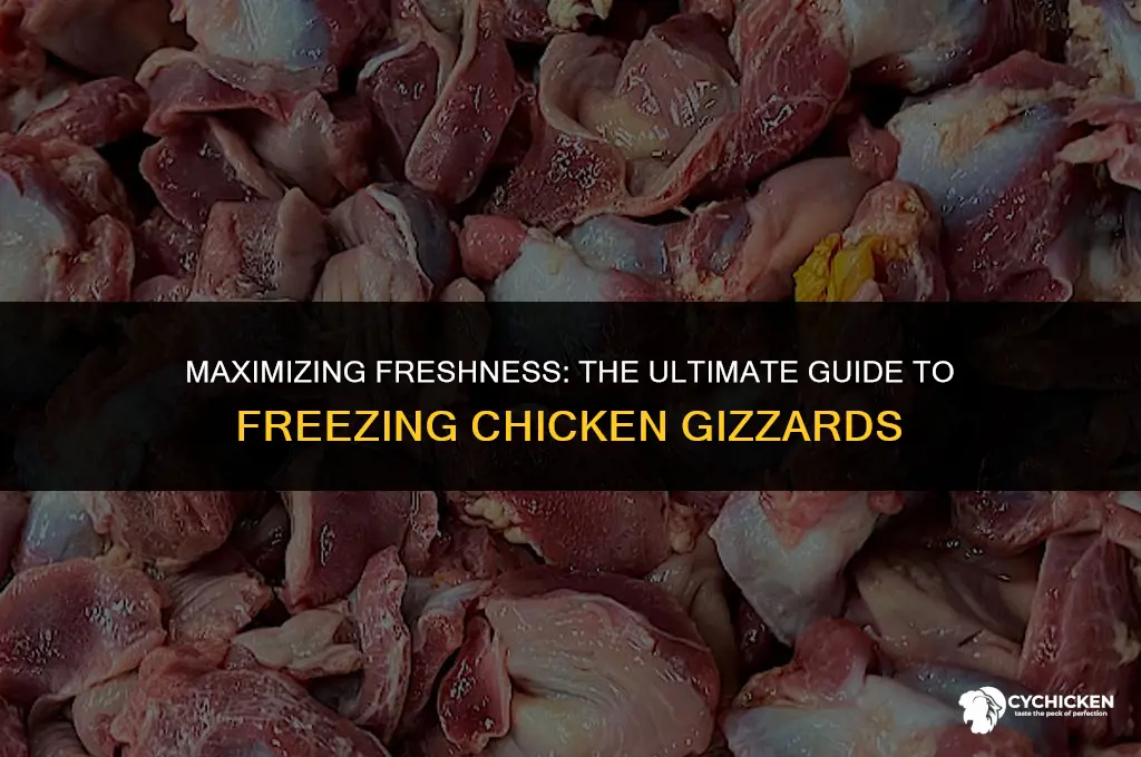 how long can chicken gizzards be frozen