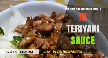 Perfect Teriyaki Chicken: Optimal Marinating Time for Best Flavor
