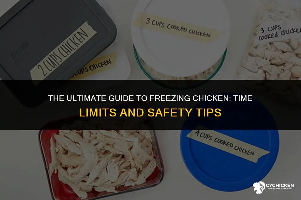 how long can chicken pieces be frozen