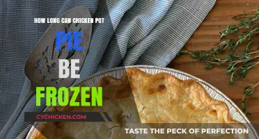 The Ultimate Guide to Freezing Chicken Pot Pie: Tips and Tricks
