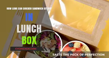 How Long Can a Chicken Sandwich Safely Sit Out in a Lunch Box?