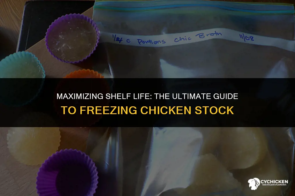 how long can chicken stock be frozen for