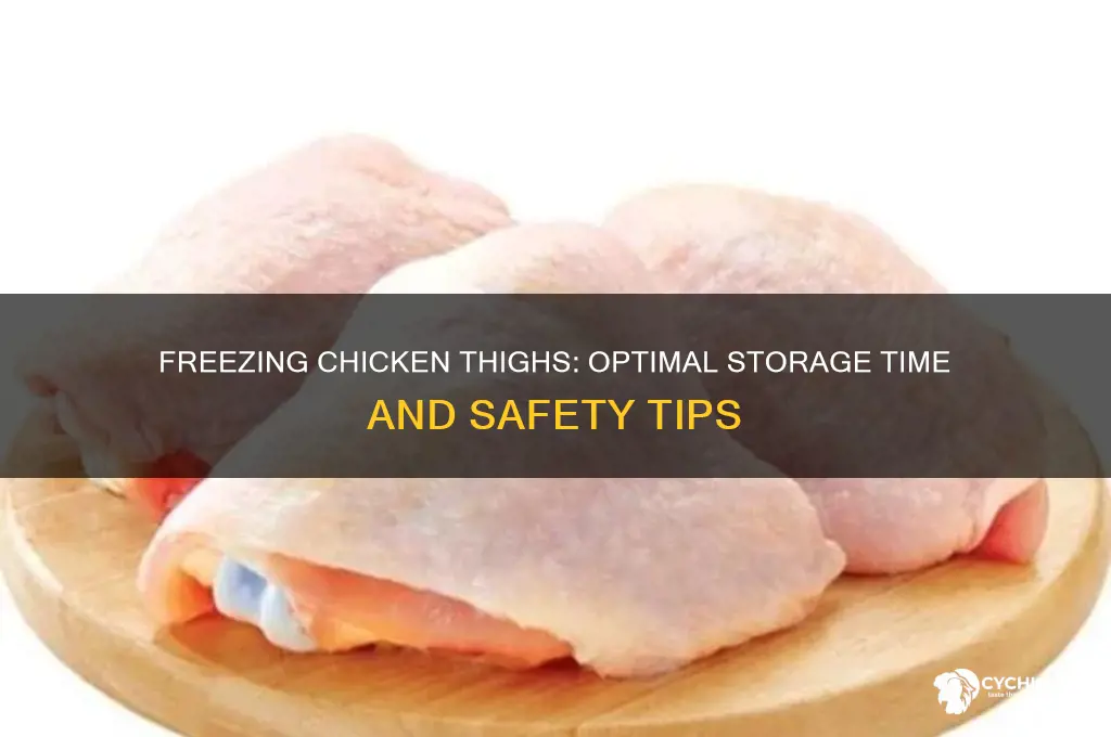 how long can chicken thigh be frozen