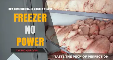 Frozen Chicken Survival Guide: Power Outage Edition