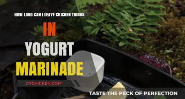 Yogurt Marinade Magic: Optimal Time for Chicken Thighs
