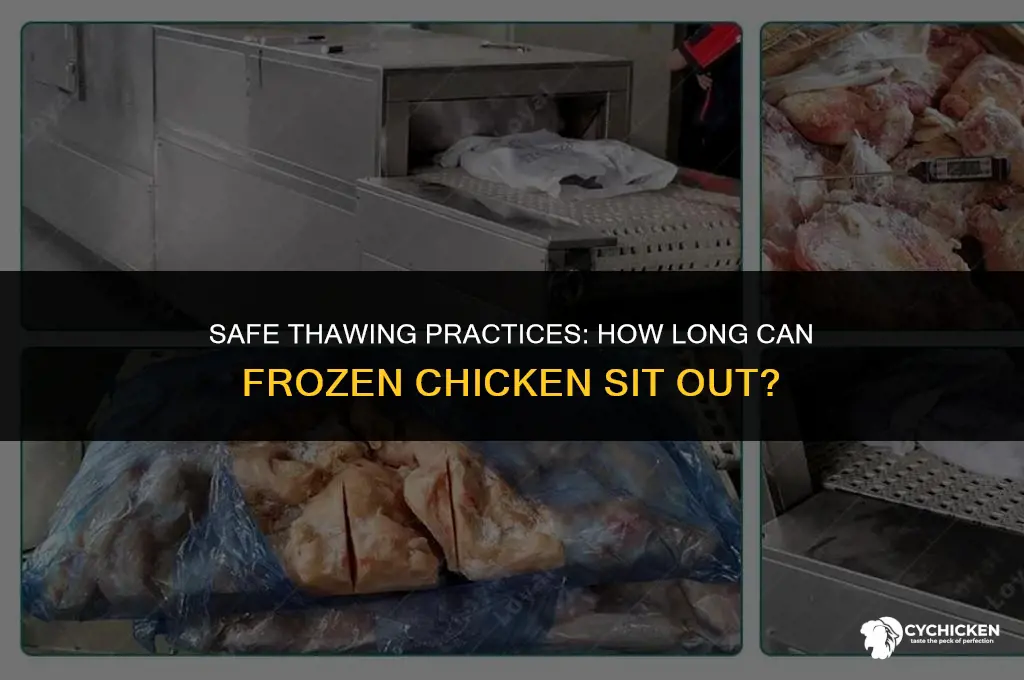 Curated visual reference: Picture Idea: Safe Thawing Practices How Long Can Frozen Chicken Sit Out