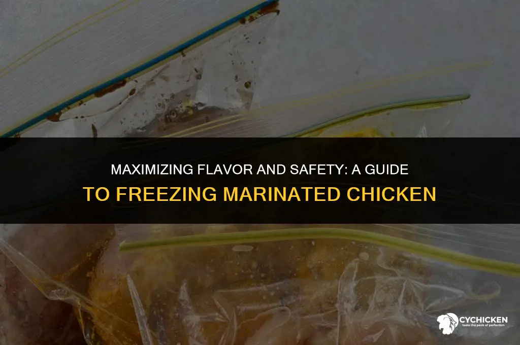 how long can marinated chicken be frozen
