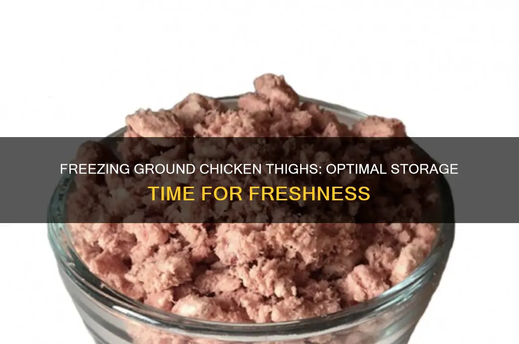 how long can uncooked ground chicken thigh in freezer
