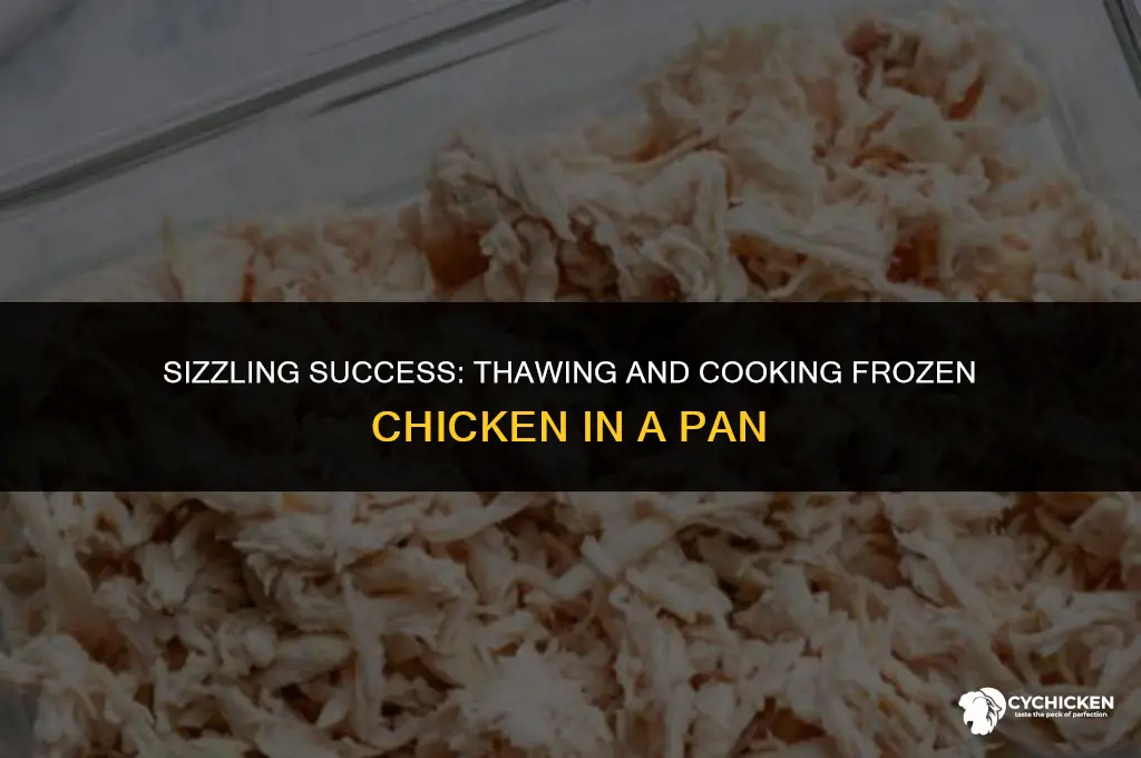 how long can you cook frozen chicken in a pan