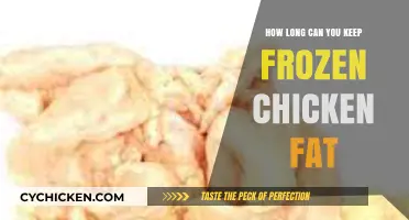 Maximizing Shelf Life: A Guide to Storing Frozen Chicken Fat