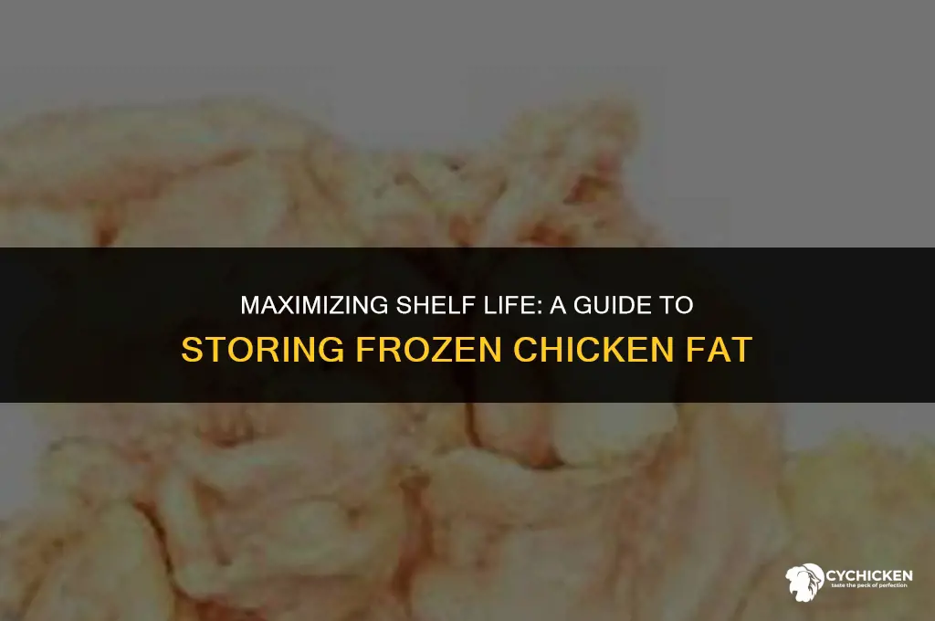 how long can you keep frozen chicken fat