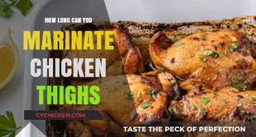 Perfect Chicken Thigh Marinating Times: Tips for Flavorful Results
