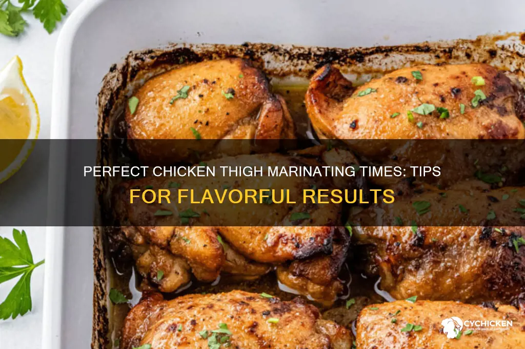 how long can you marinate chicken thighs