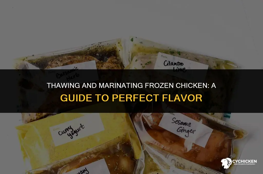 how long can you marinate frozen chicken