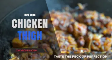 Perfectly Cooked Chicken Thighs: Timing Tips for Juicy Results