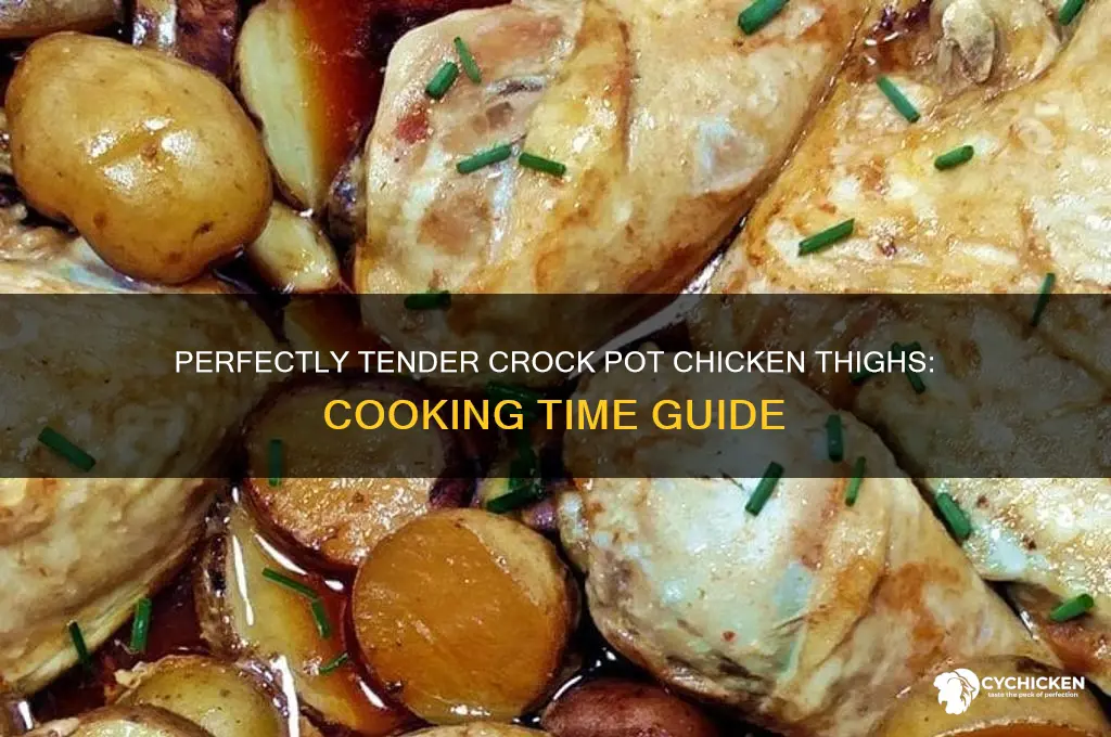 how long chicken thighs crock pot