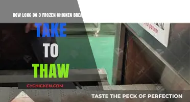 Defrosting Dilemma: The Ultimate Guide to Thawing Frozen Chicken Breasts