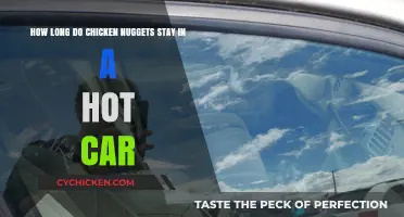 Hot Car Chicken Nuggets: How Long Before They Go Bad?