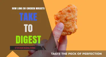 Chicken Nuggets Digestion Time: How Long Does Your Body Take?