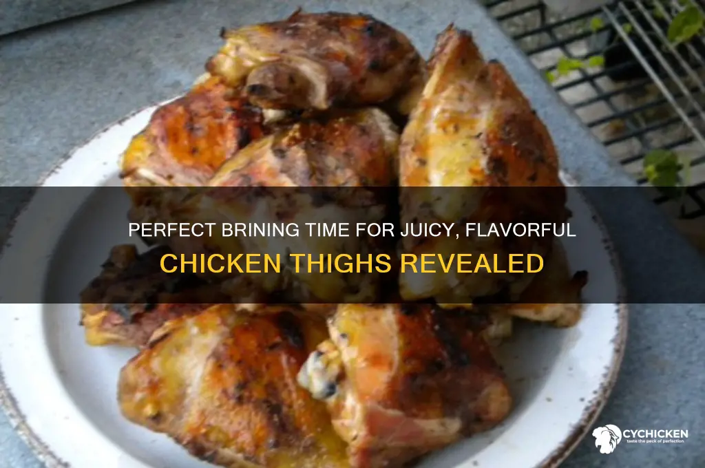 how long do chicken thighs get brined