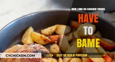 Perfectly Baked Chicken Thighs: Timing Tips for Juicy Results