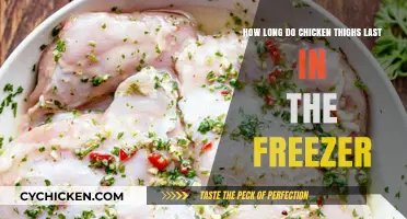 Freezing Chicken Thighs: Maximizing Shelf Life and Storage Tips