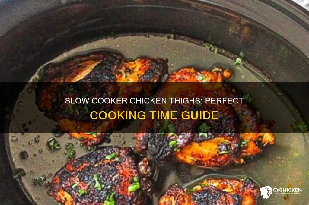 how long do chicken thighs take in a slow cooker