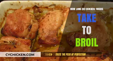 Perfectly Broiled Chicken Thighs: Timing Tips for Juicy Results