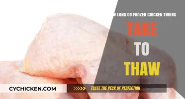 Safe Thawing Times: A Guide to Frozen Chicken Thighs