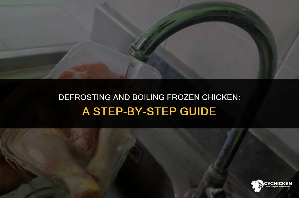 how long do i boil a frozen chicken