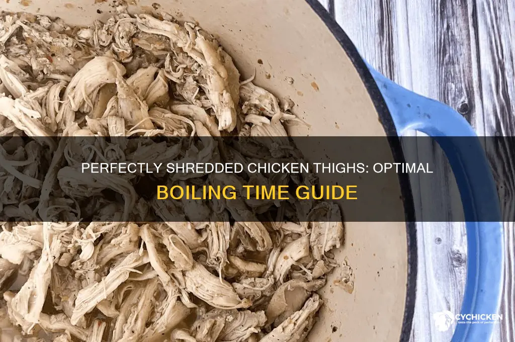 how long do i boil chicken thighs to shred