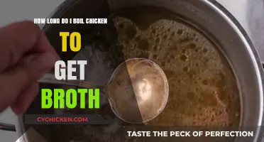 Perfecting Chicken Broth: Timing Tips for Rich, Flavorful Results