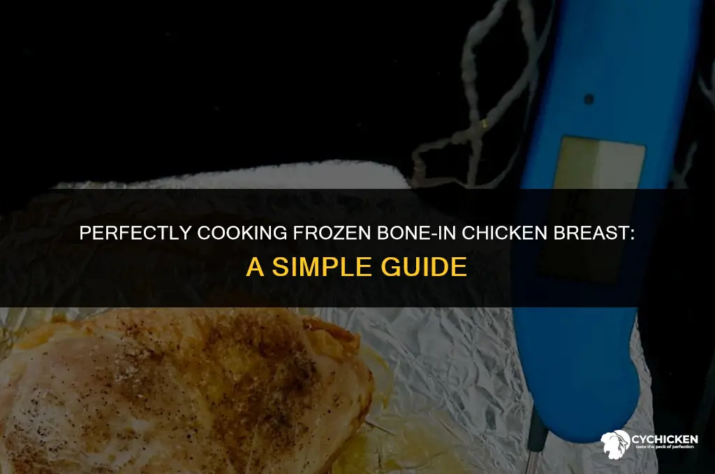 how long do i cook frozen bone in chicken breast