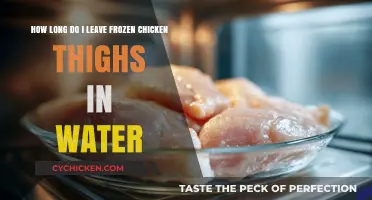Thawing Chicken Thighs: Optimal Time to Leave Frozen in Water