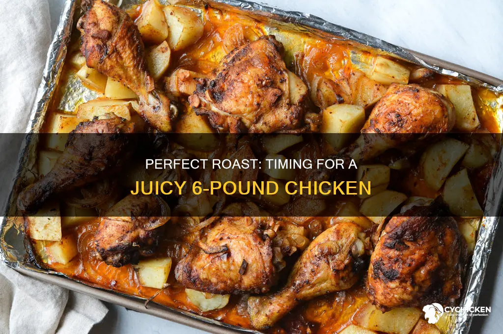 how long do i roast a 6 lb chicken