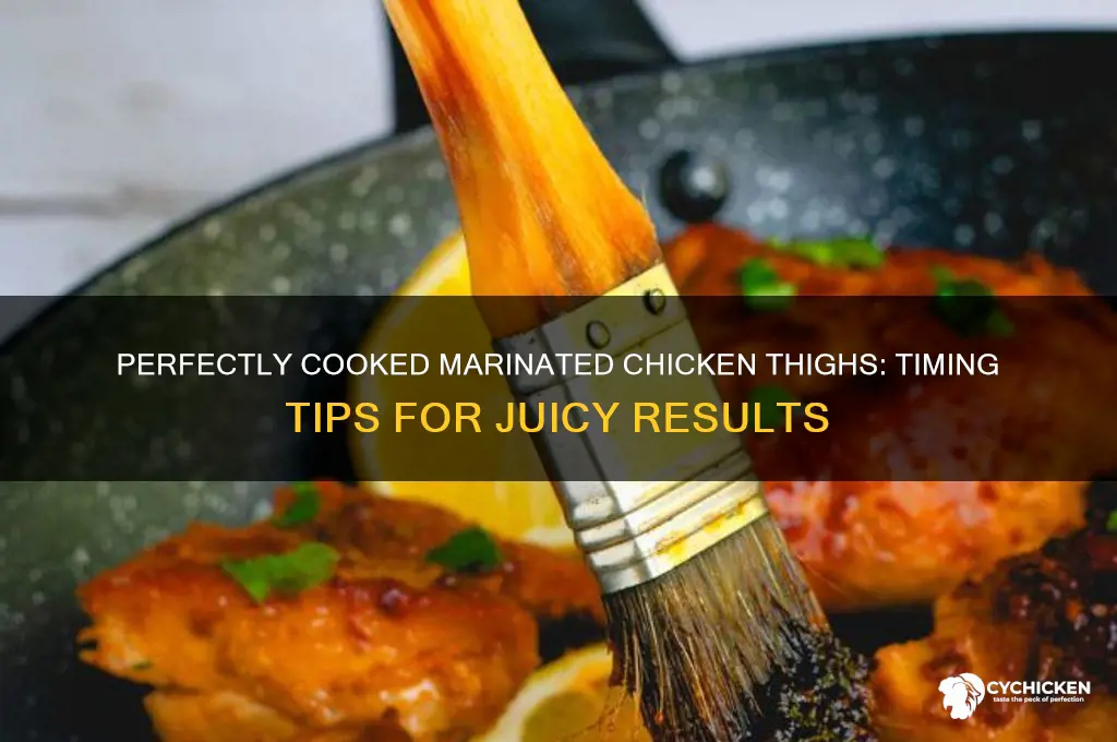 how long do u cook maarinated chicken thighs