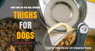 Safe Boiling Time for Chicken Thighs as Dog Treats