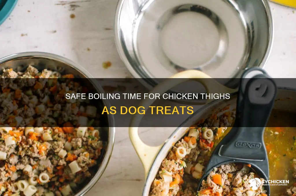 how long do you boil chicken thighs for dogs