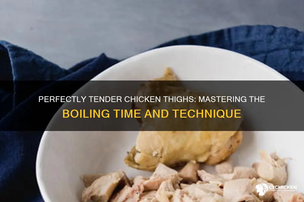 how long do you boil chicken thighs totender