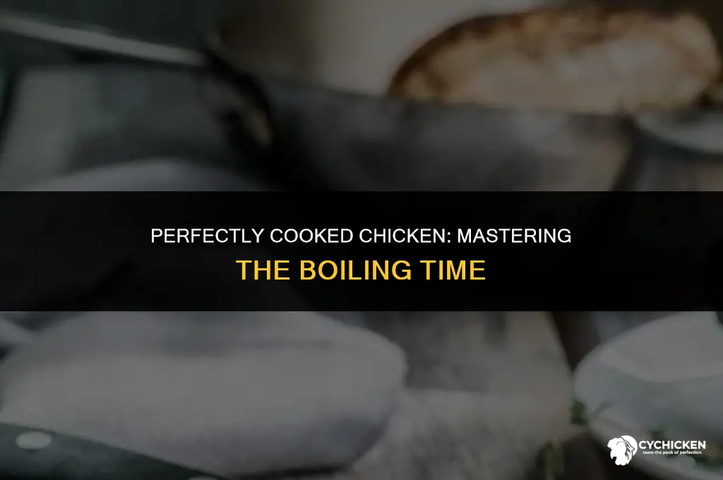 how long do you boil chicken to get it done