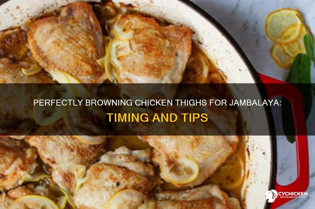 how long do you brown chicken thighs for jambalaya