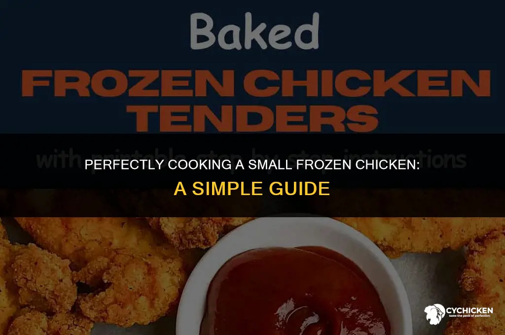 how long do you cook a small frozen chicken