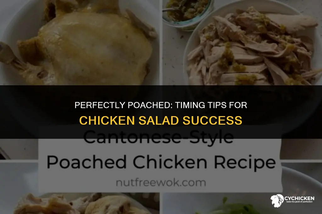 how long do you cook chicken for chicken salad