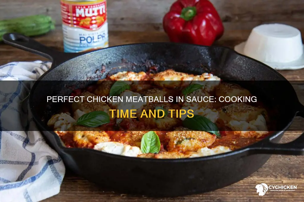how long do you cook chicken meatballs in sauce