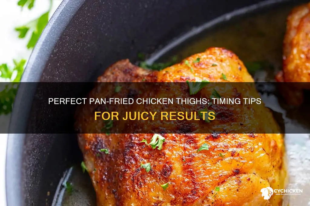 how long do you have to pan-fry chicken thighs