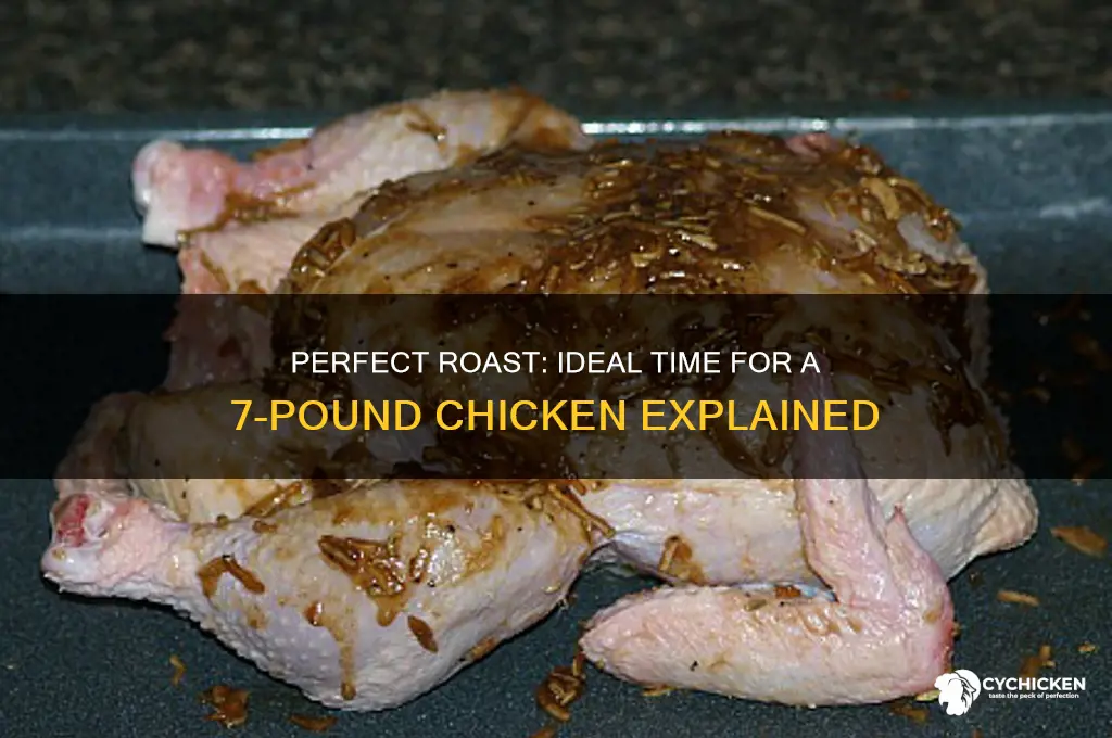 how long do you roast a 7 pound chicken
