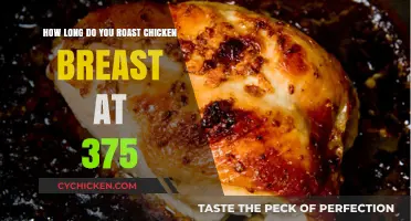 Perfectly Roasted Chicken Breast: 375°F Cooking Time Guide