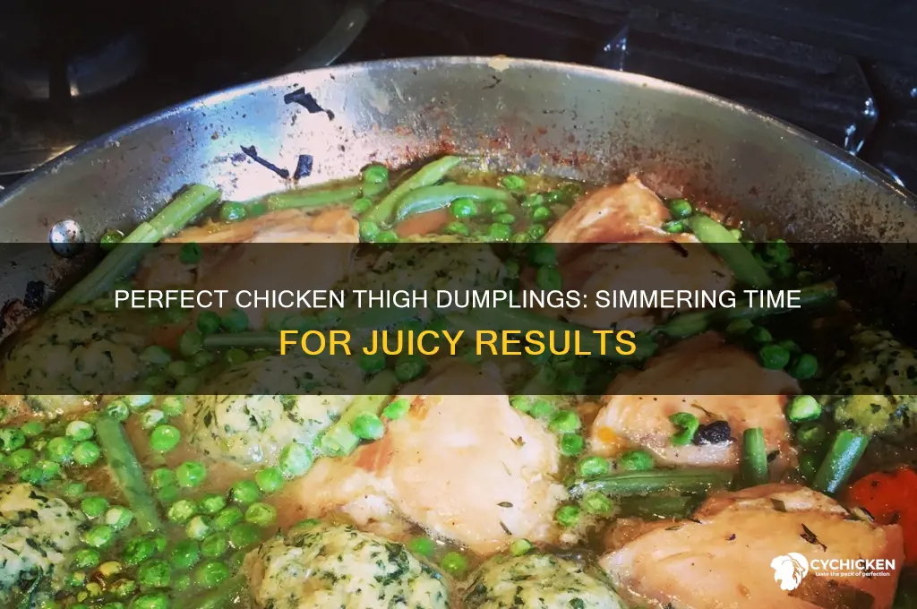 how long do you simmer chicken thighs dumplings