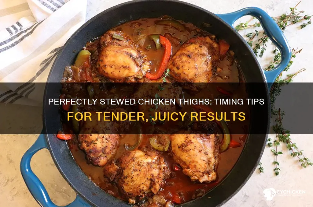 how long do you stew chicken thighs