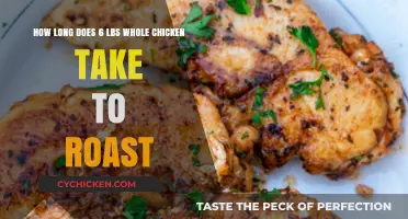 Perfect Roast: Time to Cook a 6-Pound Whole Chicken